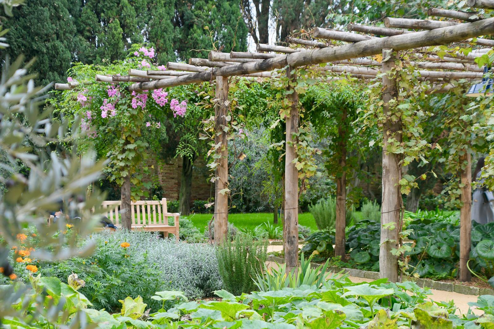 L’Hortus Redemptoris della Chiesa del Redentore apre al pubblico e ai veneziani