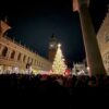 Venezia: Acceso il grande albero in Piazza San Marco