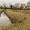 Chioggia: al via i lavori per il nuovo gattile a Brondolo