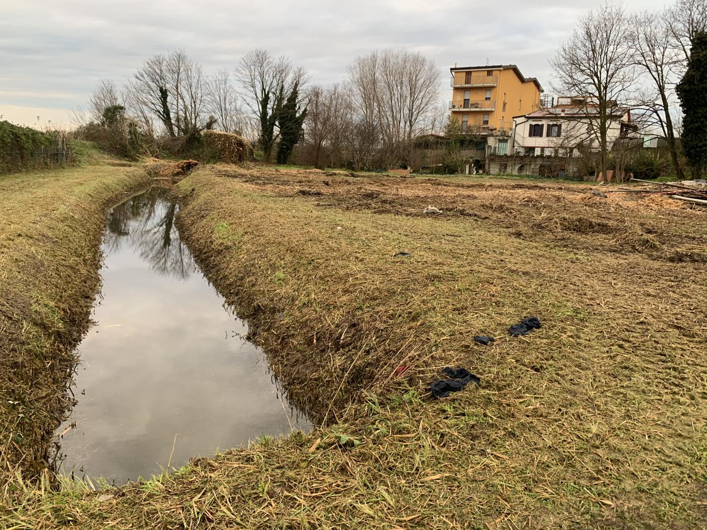 Chioggia: al via i lavori per il nuovo gattile a Brondolo